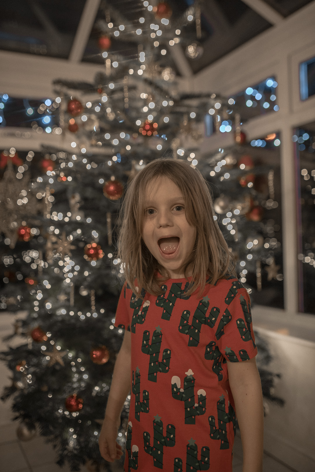 Christmas anxiety -Charlie with the Christmas Tree