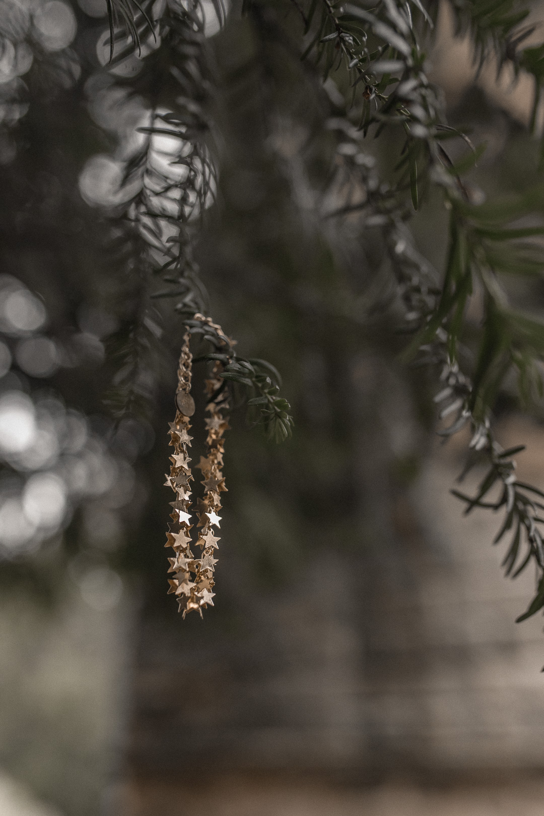 Boho Betty - Star bracelet hanging from a tree
