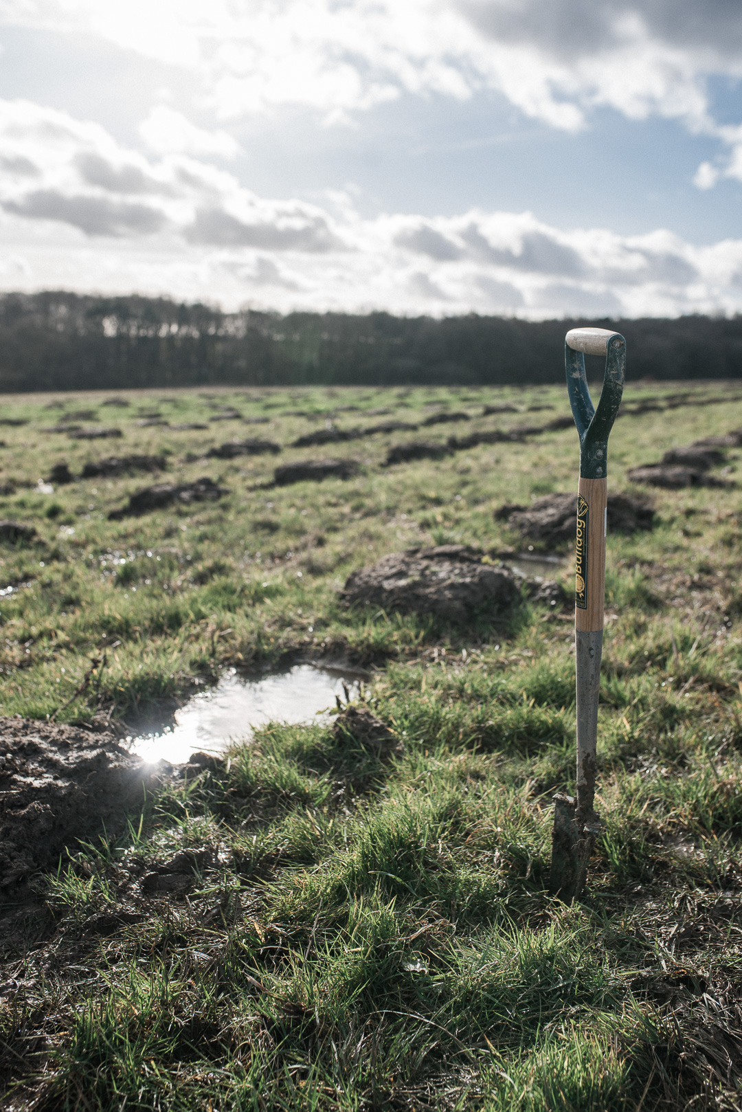 Joules Tree Planting - A spade in the muddy ground