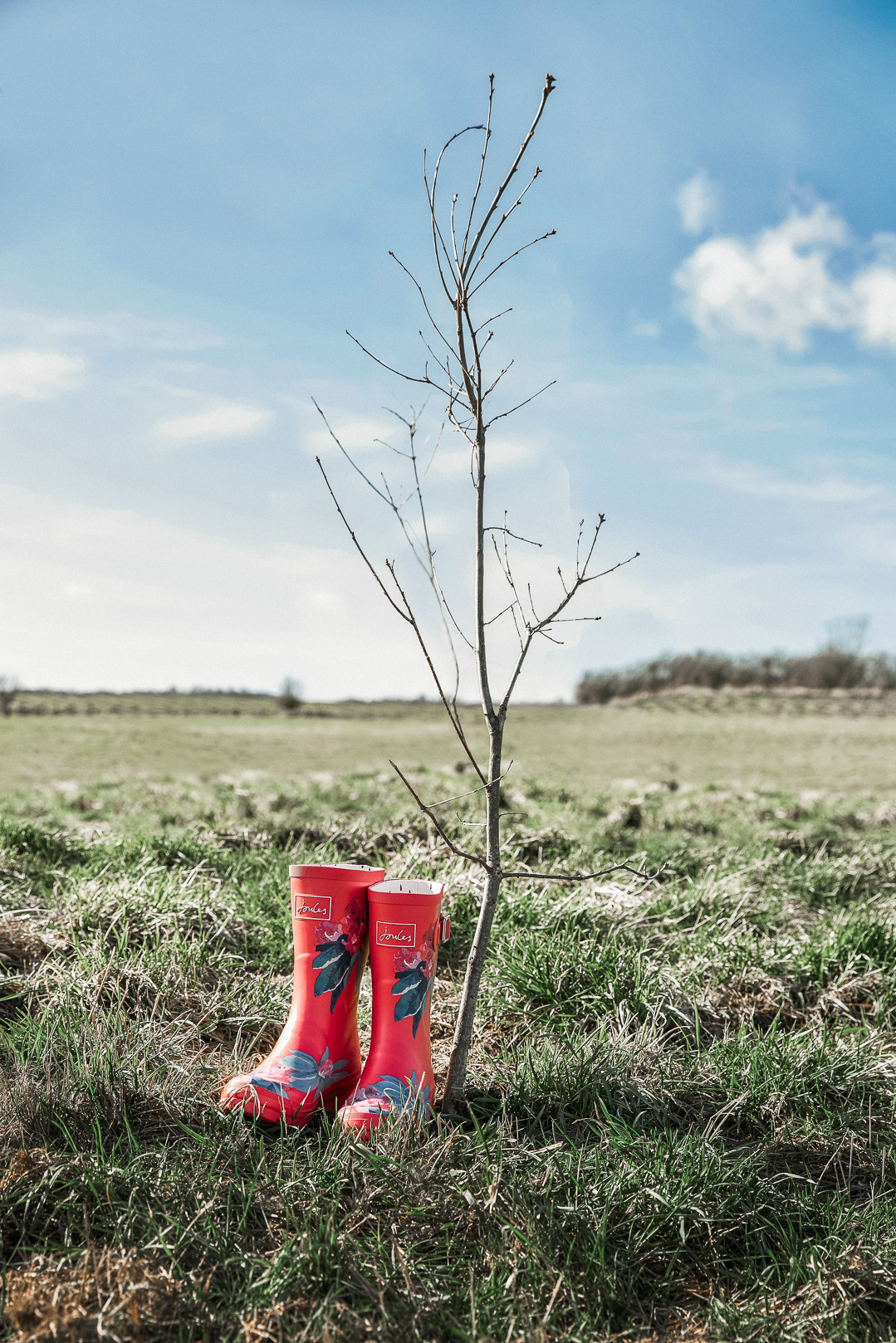 Joules tree planting - Joules Wellies and a freshly planted tree