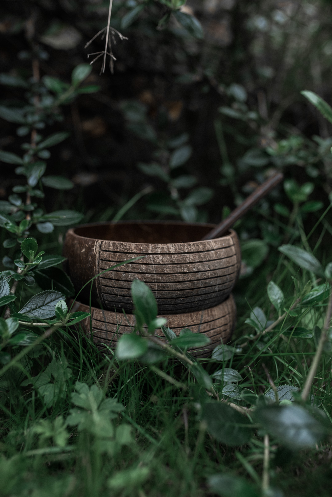 Jungle Straws - Coconut Bowls